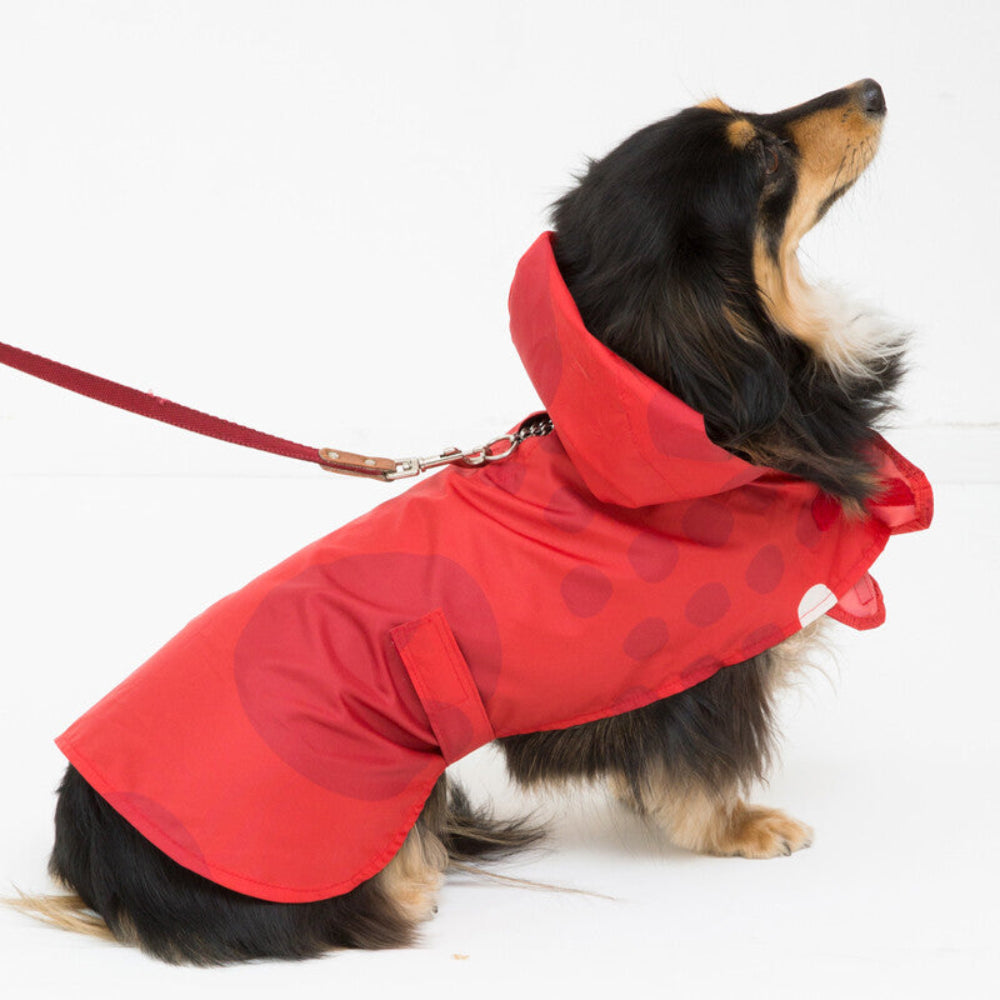 狗狗波點散步雨衣 - 小型犬S