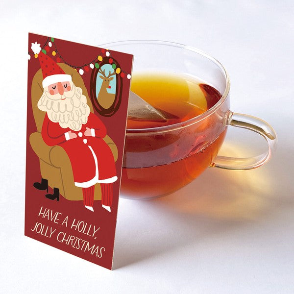 Japanese Christmas Apple Tea Bags (Made in Japan)