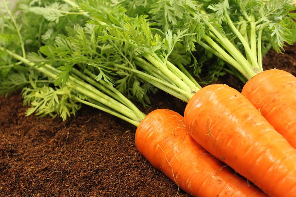 雫 Shizuku 天然染色毛巾 (34x85cm)