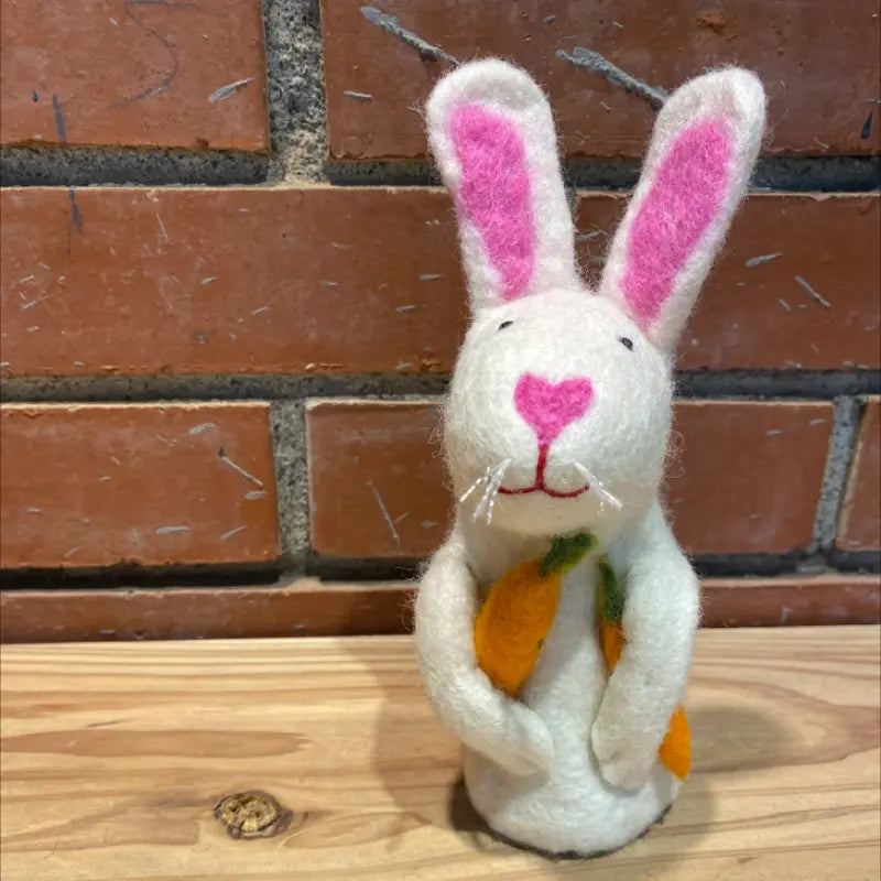 Warm eggs|Love nose white rabbit