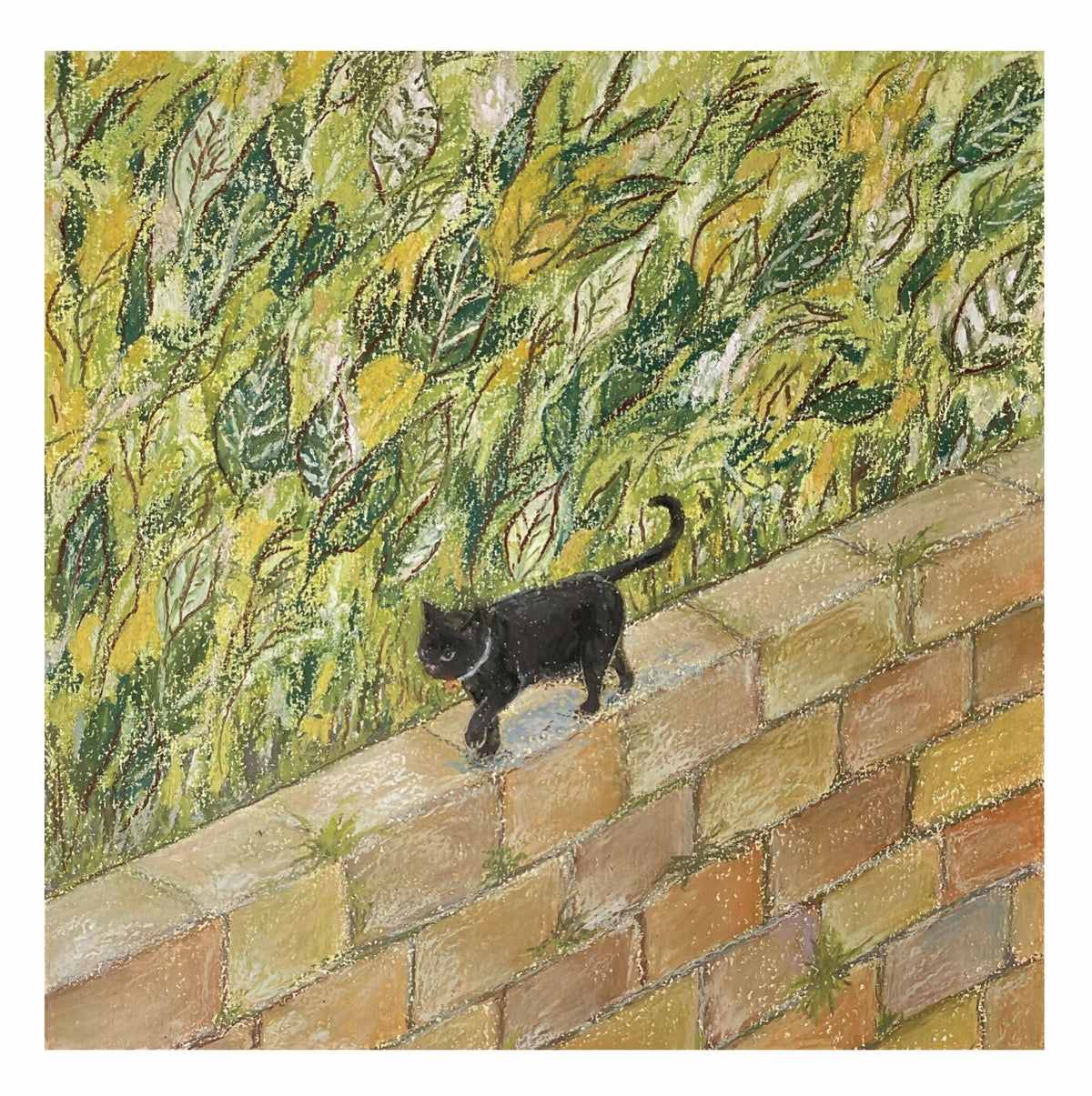 Walking cat