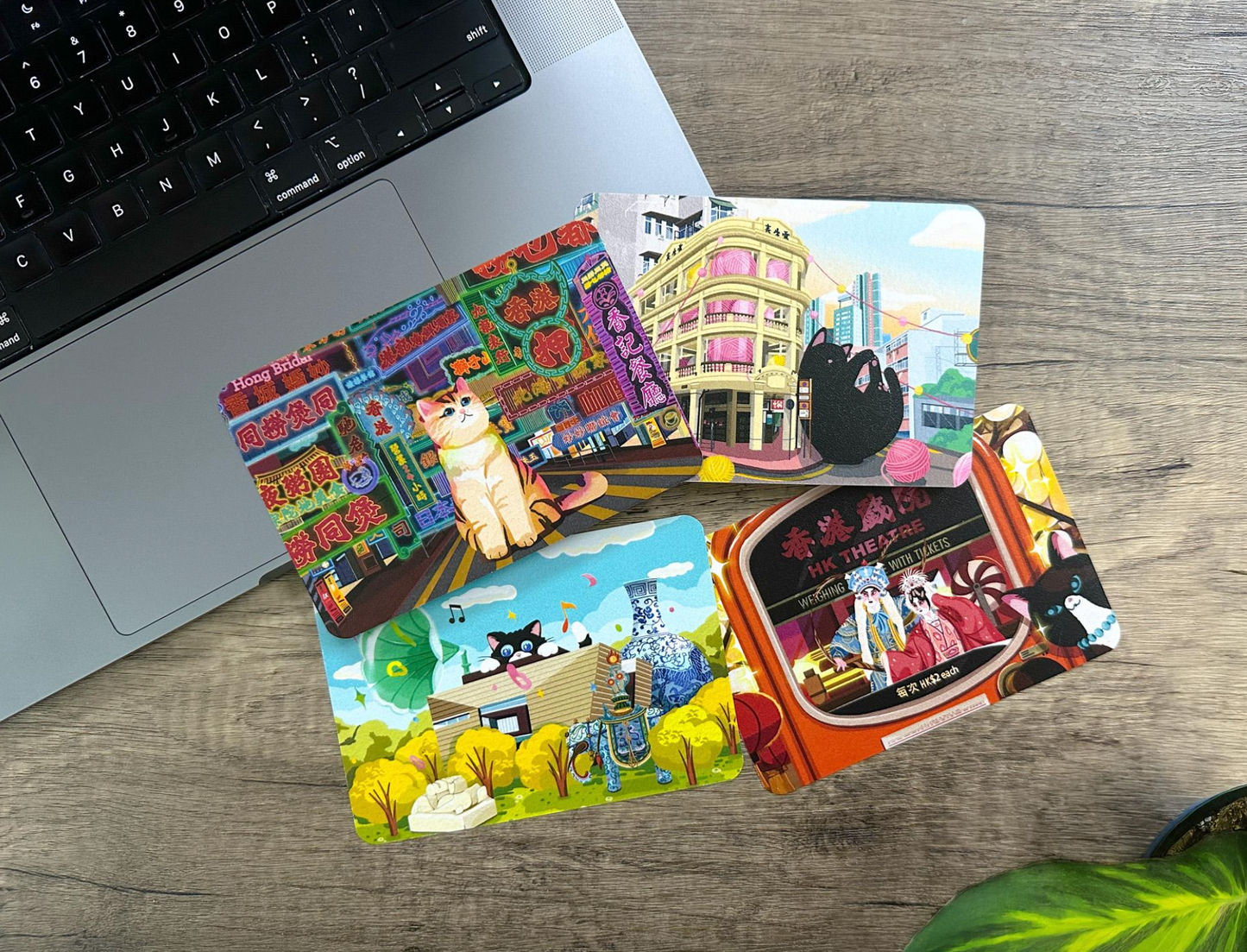 【貓遊街角】 明信片