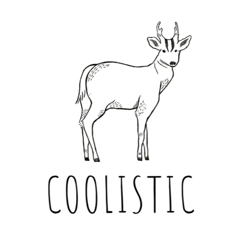 COOLISTIC