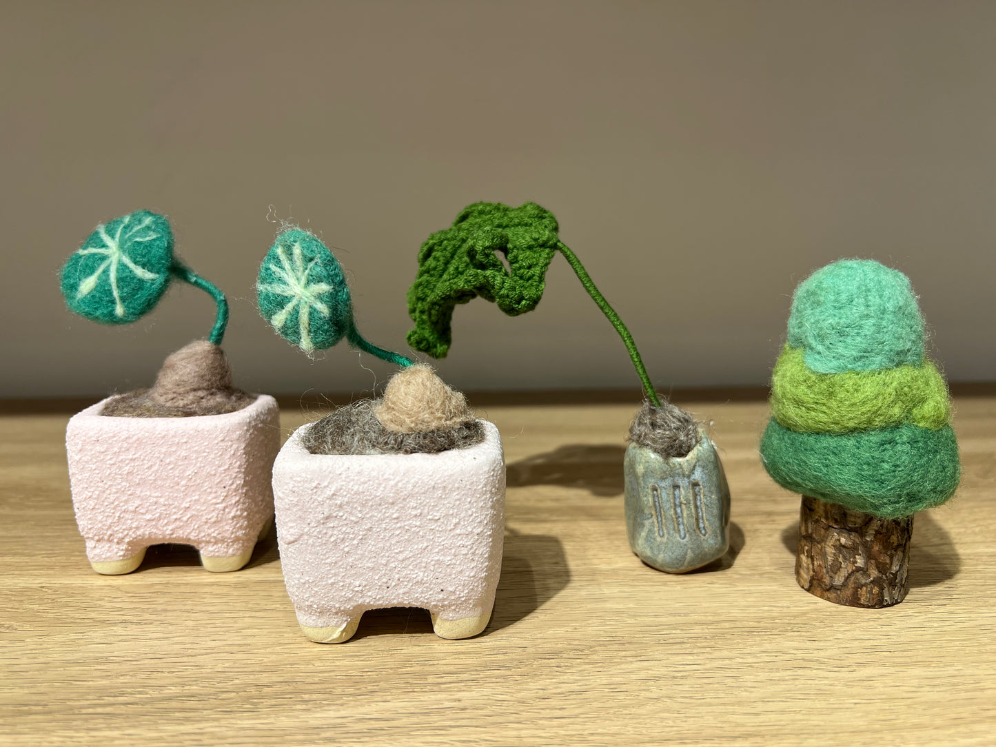 Wool Plant (Large)