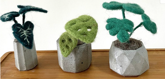 羊毛氈材料包-植物盆栽三款 (附教學影片)