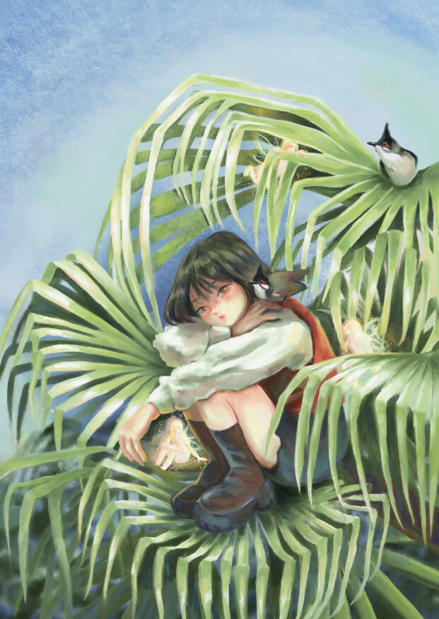 postcard04 fan palm shelter
