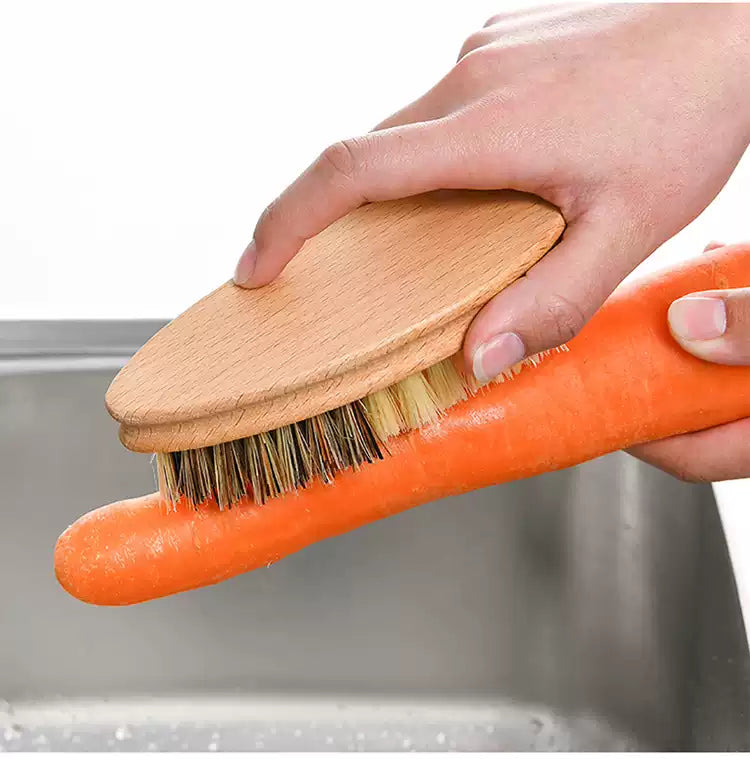 Natural coconut palm sisal fruit and vegetable brush