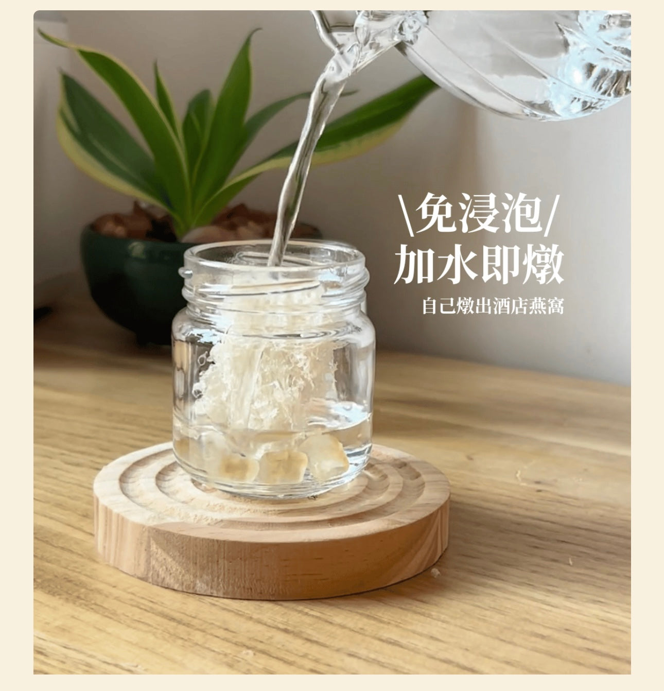 隨心燉燕窩套裝 (免浸燕窩) 一周裝