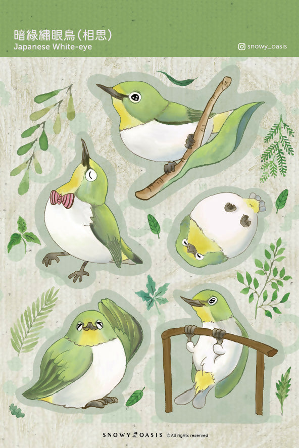 A6貼紙 暗綠繡眼鳥