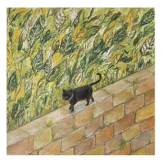 Walking cat