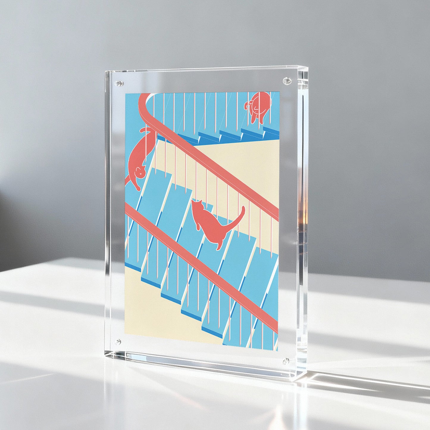 貓咪系列-明信片