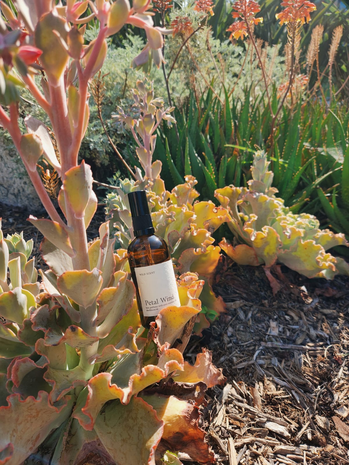 Petal Wind Hair Perfume (100ml)