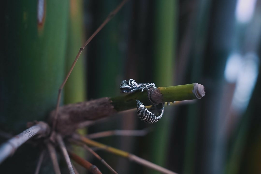 爬行 gecko ring