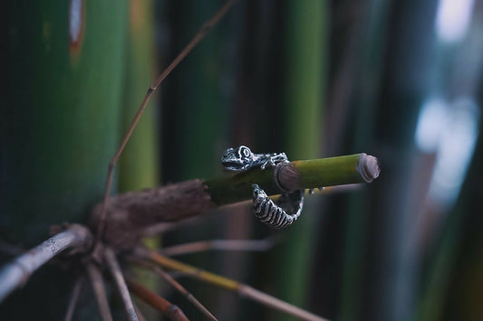 爬行 gecko ring