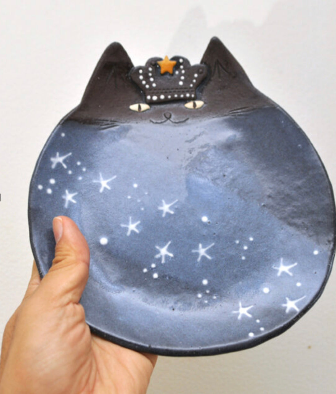 Star cat KING dish