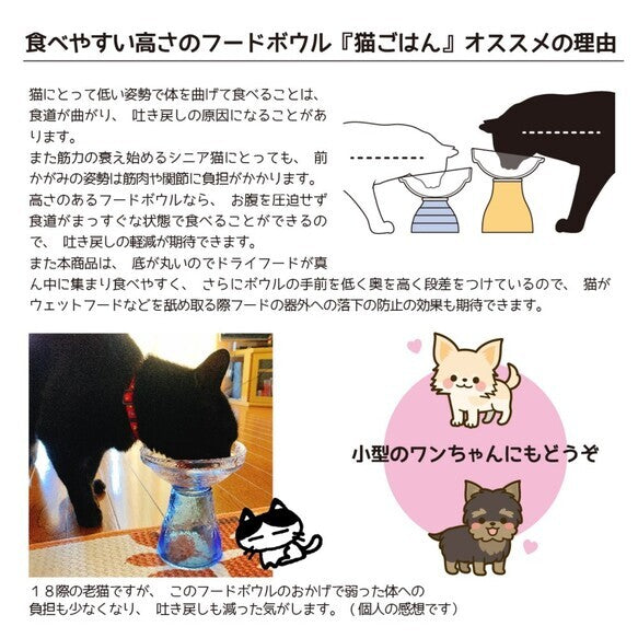 Eco-friendly cat feeding bowl (L)